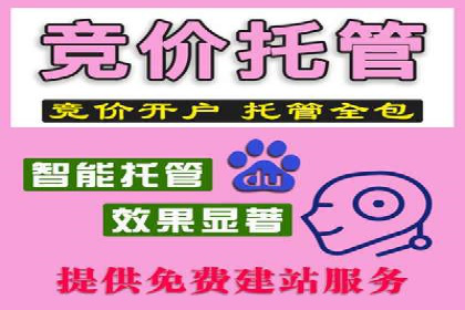 SEM托管服务，案例分享转化成果